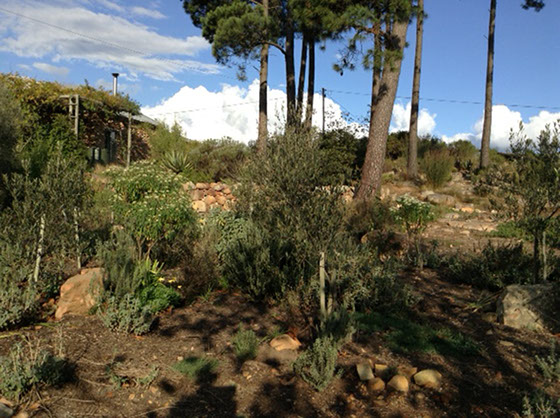 Elgin Open Gardens_Elgin Valley_Grabouw_Klipkop_Overberg_Western Cape_Stone Kitchen_main image_stone garden