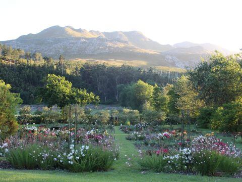 Elgin Open Gardens 2025 Wildekrans Country House Kogelberg Biosphere