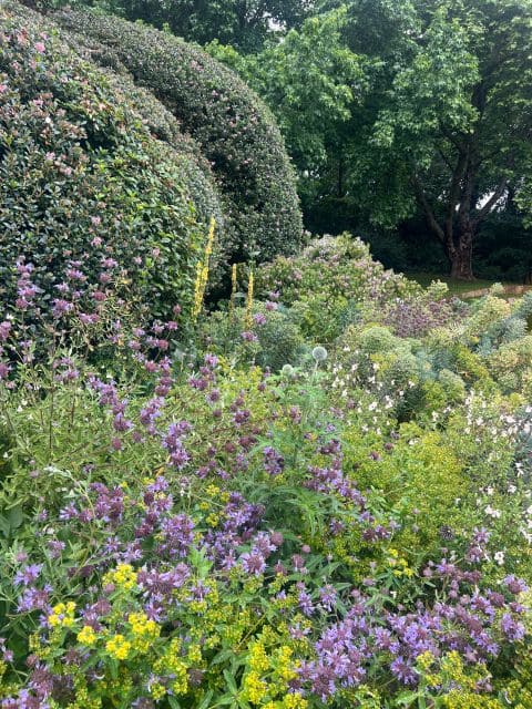 Elgin Open Gardens 2026 Fairholme garden photo 10