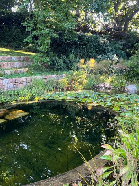 Elgin Open Gardens 2026 Fairholme garden photo 11