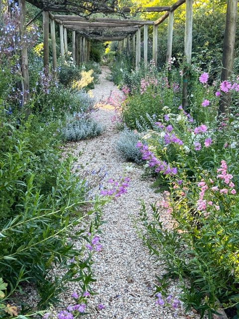 Elgin Open Gardens 2026 Fairholme garden photo 3