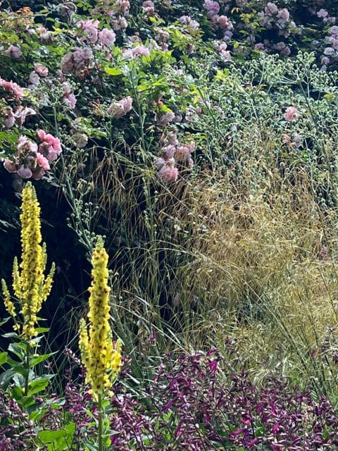 Elgin Open Gardens 2026 Fairholme garden photo 8
