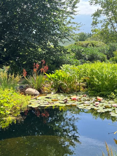 Elgin Open Gardens 2026 Fairholme garden photo 9