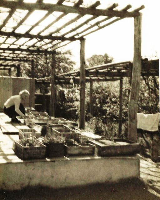 Elgin-Open-Gardens-2026-Windermere-history-slide-2