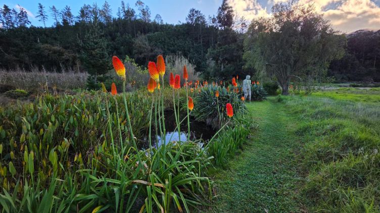 Elgin-Open-Gardens-2026-Wildekrans-Country-House-red-hot-pokers